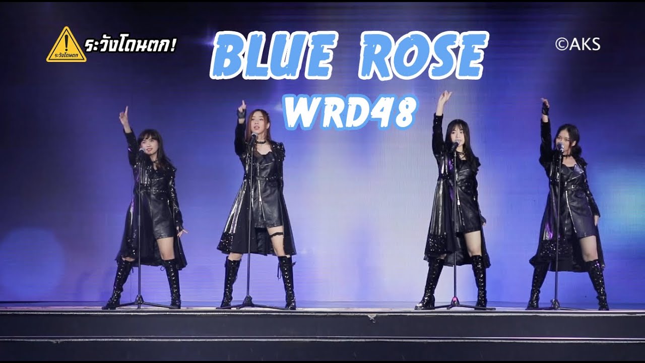 Blue Rose – WRD48 (Pun BNK48,Yupi JKT48,Sheki MNL48,Kaycee SGO48) AKB48 Asia  Festival 2019