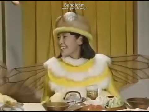 志村けんさんと南野陽子さんの蜜蜂夫婦