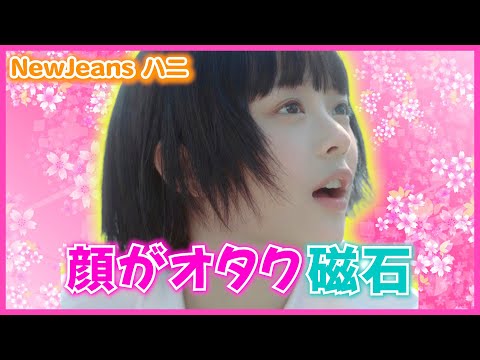 日本で愛される顔！ハニパムがK-POPアイドルになった理由【NewJeans】